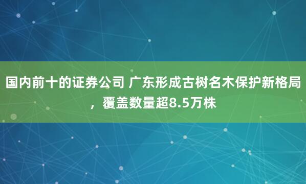 国内前十的证券公司 广东形成古树名木保护新格局，覆盖数量超8.5万株