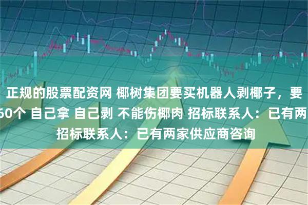 正规的股票配资网 椰树集团要买机器人剥椰子，要求每小时剥360个 自己拿 自己剥 不能伤椰肉 招标联系人：已有两家供应商咨询