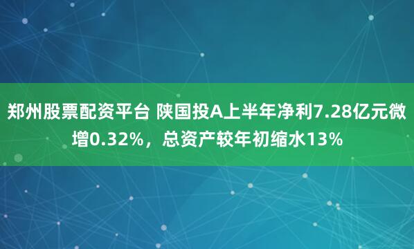 郑州股票配资平台 陕国投A上半年净利7.28亿元微增0.32%，总资产较年初缩水13%